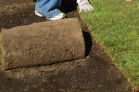 Prep and Installation on Sod in Wisconsin